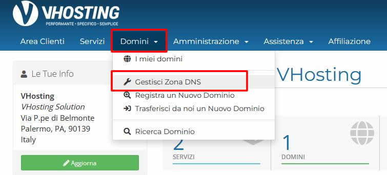 dns manager