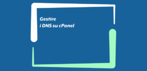 Gestire i DNS su cPanel