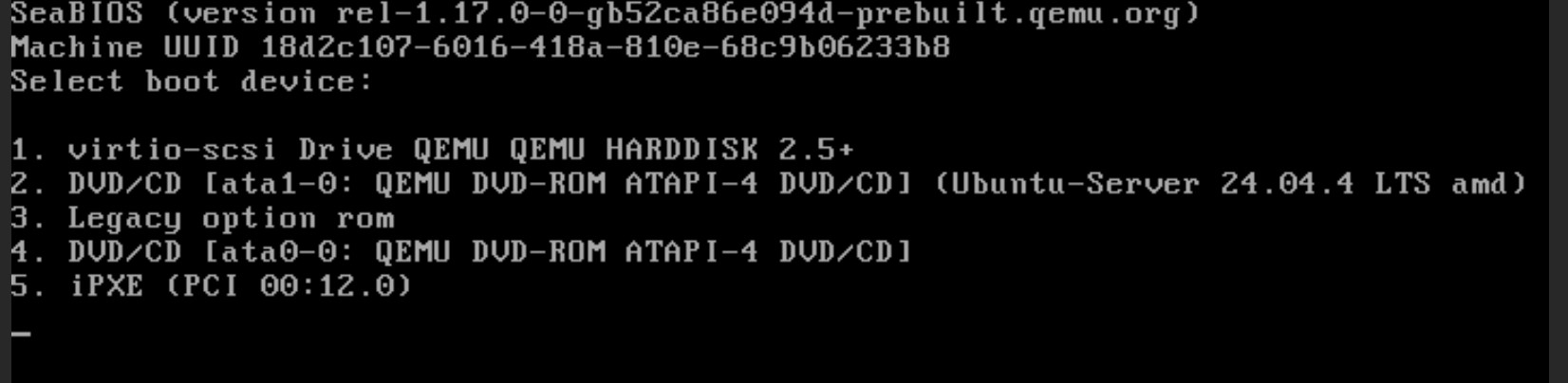 Come installare il sistema operativo su una VPS non gestita Boot Manager della VPS per la selezione del dispositivo di avvio