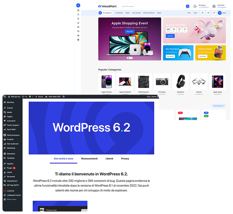 Assistenza WordPress WPCare