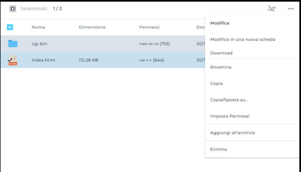 DirectAdmin di VHosting: guida dettagliata