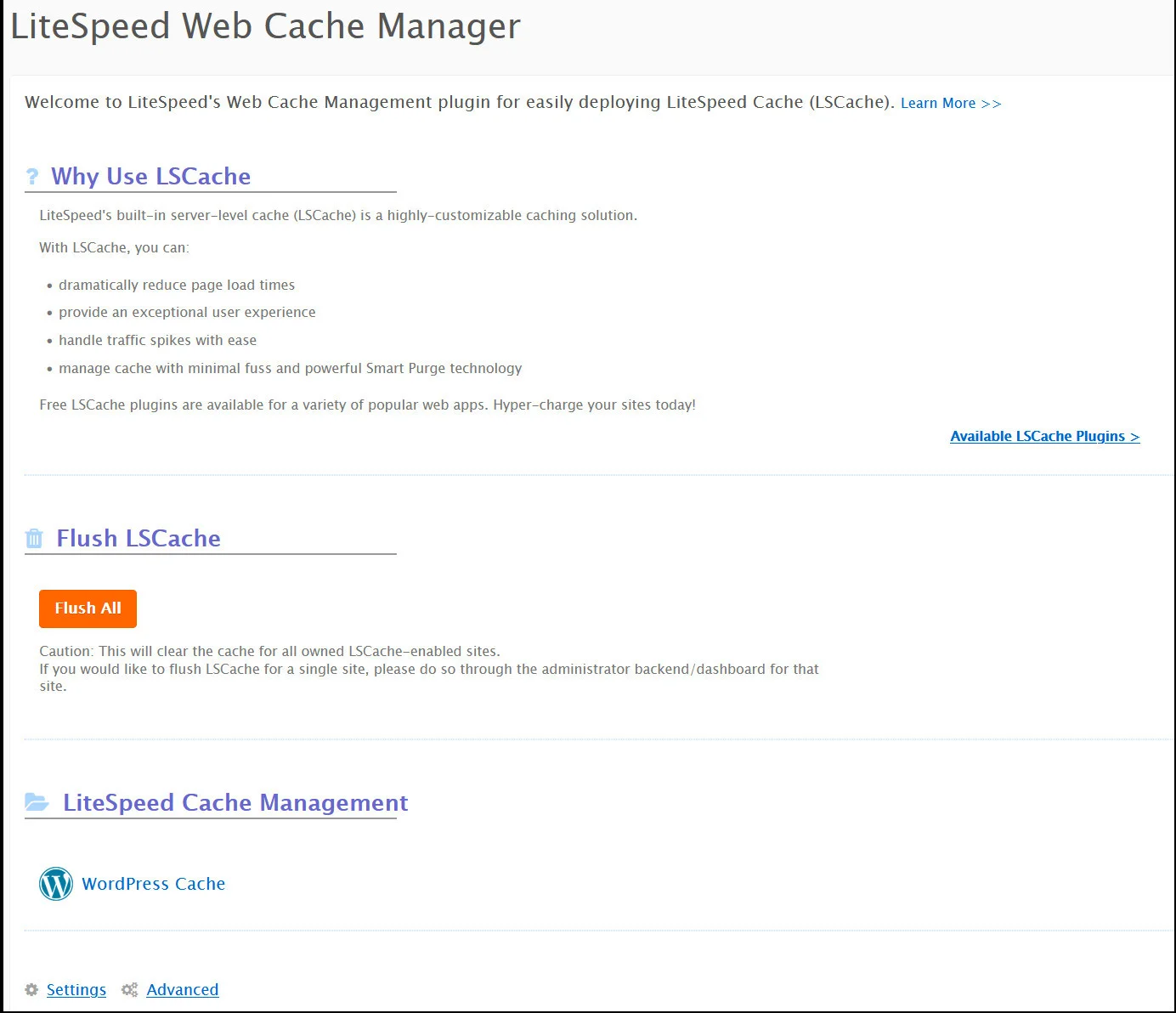 CPanel di VHosting: la guida completa CPanel di VHosting: la guida completa
