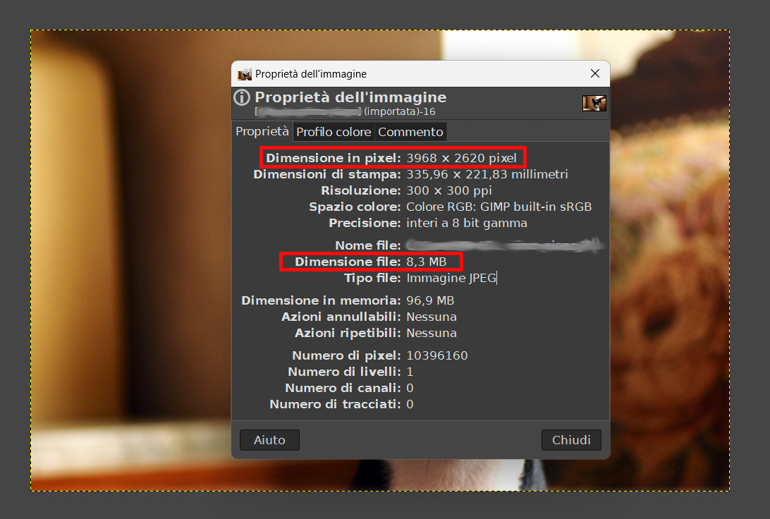 Come velocizzare WordPress: la guida completa Come velocizzare WordPress: la guida completa