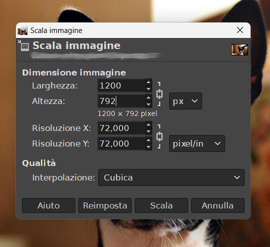 Come velocizzare WordPress: la guida completa Come velocizzare WordPress: la guida completa