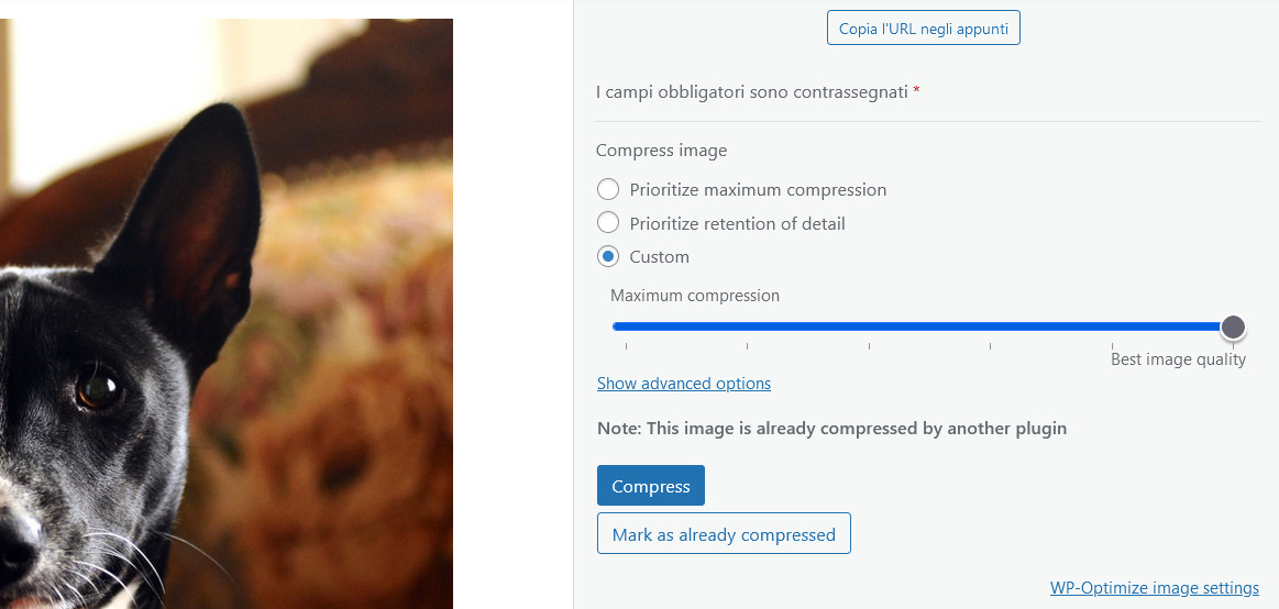 Come velocizzare WordPress: la guida completa Come velocizzare WordPress: la guida completa
