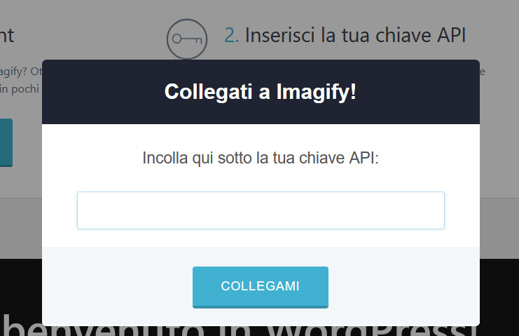Come velocizzare WordPress: la guida completa Come velocizzare WordPress: la guida completa