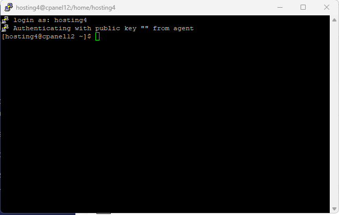 SSH: connettersi ai server in modo sicuro