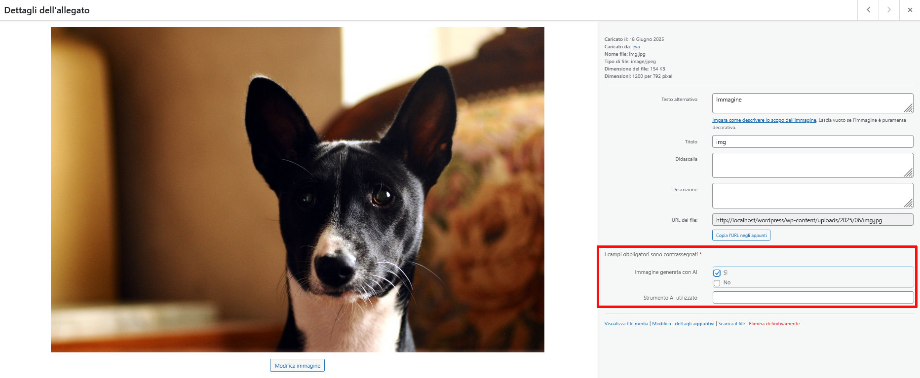 Come usare ACF (Advanced Custom Fields) in WordPress